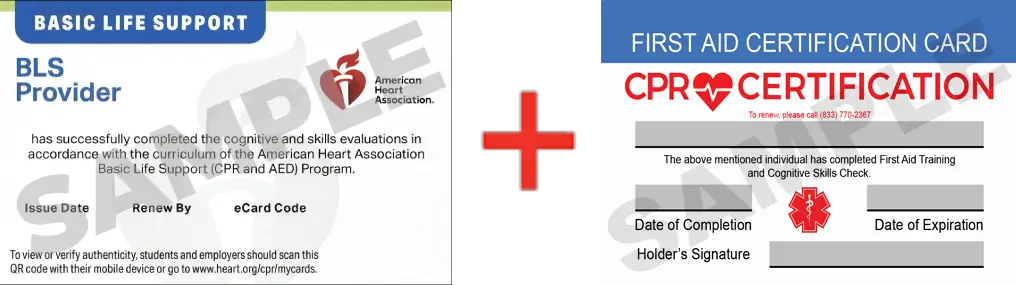 Sample American Heart Association AHA BLS CPR Card Certification and First Aid Certification Card from CPR Certification Colorado Springs